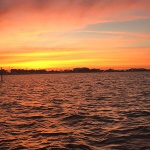 Meet your Posher, Carly